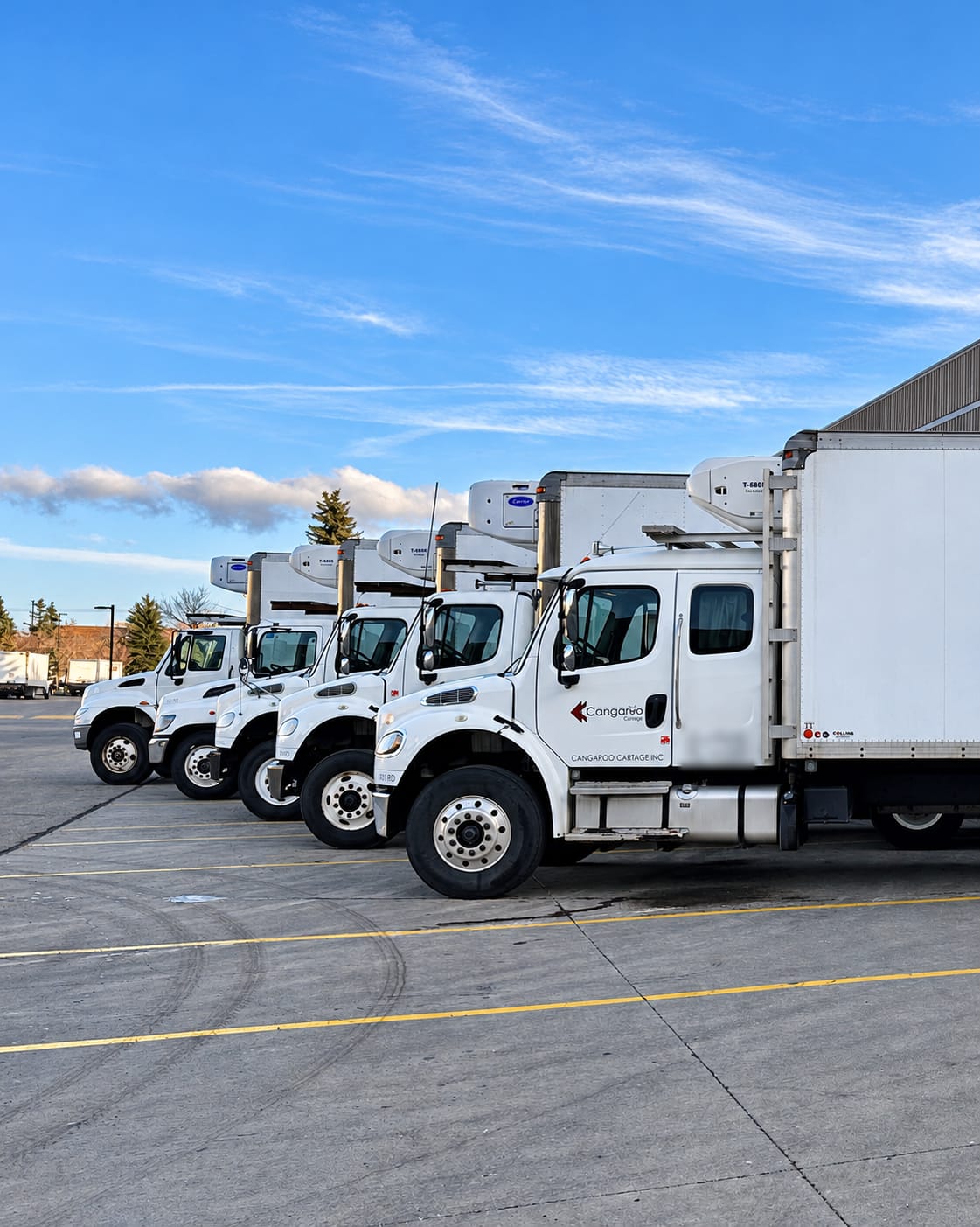 Row of Cangaroo Cartage reefer straight trucks, lead truck showing the Cangaroo Cartage door logo